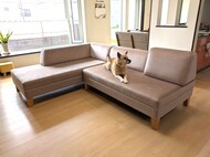 ワン子も安心して寛げるソファ / 腰痛対策座面仕様 / 固定式背もたれ + 可動式バックレスト