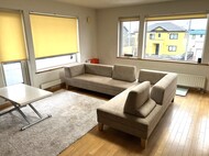 ワンコと暮らすソファ / 腰痛対策仕様座面 / 固定式背もたれ + 可動式背もたれ